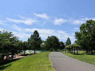Obraz premium 初夏の公園