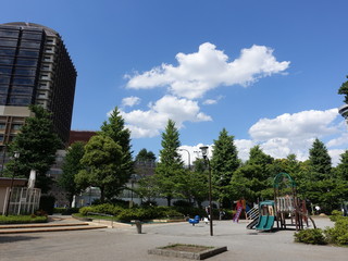 Fototapeta premium 都会の公園