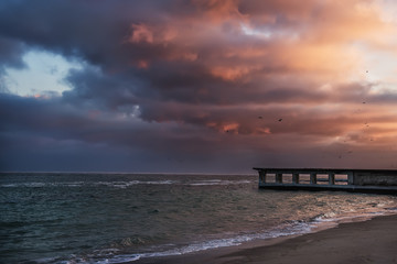 Fototapeta premium Dramatic evening at the sea. desert concrete pier, beautiful pink clouds, birds in the sky. dusk. 
