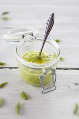 Spruce sprout pesto
