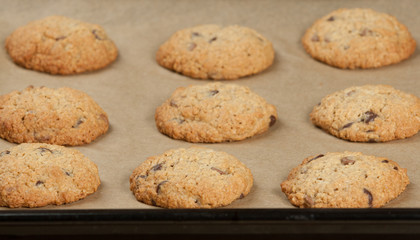 Home Baked Oat Cookies With Coconut And Chocolate.