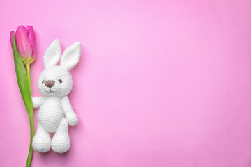 Beautiful tulip and toy bunny on color background