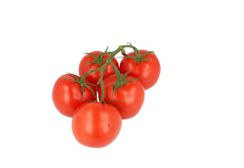 Tomato Bunch 2