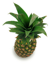Fototapeta premium ananas