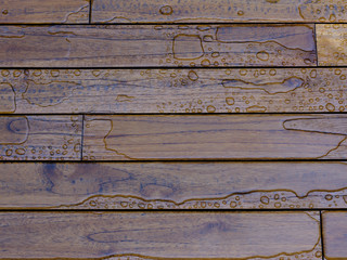 Wooden planks bathed in the rain