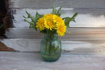 dandelions in a vase