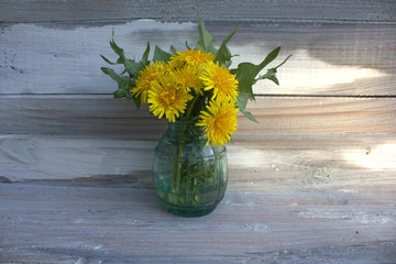 dandelions in a vase