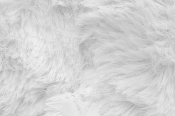  Wool texture backgrou. Apart of luxury white long wool coat, close-up macro, for background and wallpaper