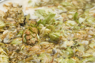 Fototapeta premium petals and cons of hop on the surface of homet beer. close up. Craft beer brewing from grain barley pale malt in process. Ale or lager from pilsner malt.