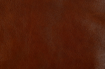 Natural leather background