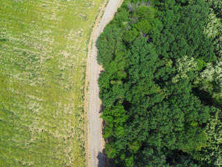 aerial view of forest road and meadow from the drone