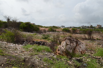 rugged hills of Helshire , Jamaica