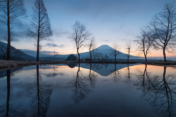 Mountain Fuji in the morning at Fumotopara camping ground, Fujinomiya , Shizuoka prefecture