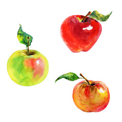 Hand drawn red, green, orange apples. Watercolor fresh fruit on white background. Painting isolated illustration