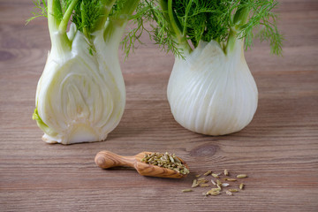 fennel bulb and scoop with seeds on wooden background