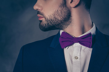 Portrait of pretty charming mrs in purple dress with jewelry half face mr in tuxedo bowtie holding...