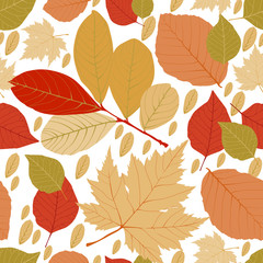 Obraz premium Fall of the leaves. Seamless pattern for textile, wallpapers, gift wrap and scrapbook. Vector illustration.