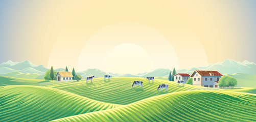 Herd of cows  in summer rural landscape at dawn among fields and pastures. Vector illustration. © Rustic