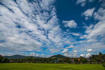 cloud and sky in farm