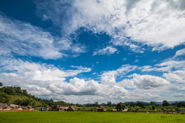 cloud and sky in farm