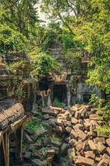 Fototapeta premium Ruins of the ancient temple of Beng Mealea.