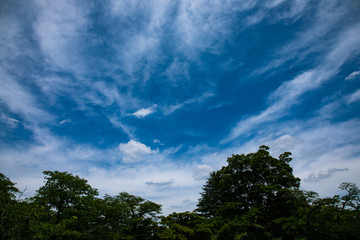 青空と筋雲と森