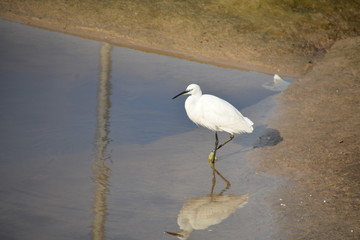 Sharon Beach - Herzliya
