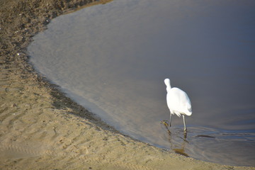 Sharon Beach - Herzliya
