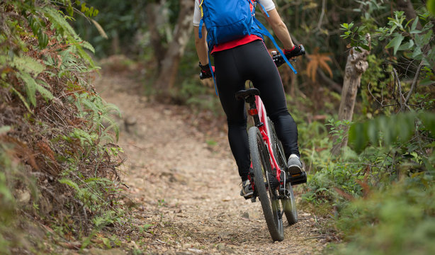 cyclist woman legs riding mountain bike on outdoor trail in forest