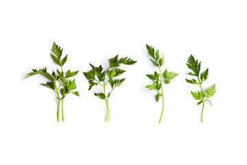 Fresh organic parsley leaves on white background; flat lay