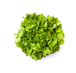 Fresh organic lettuce on white background; flat lay