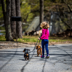 Dog Walker