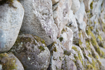 close-up stone and mos in the forest from side view.