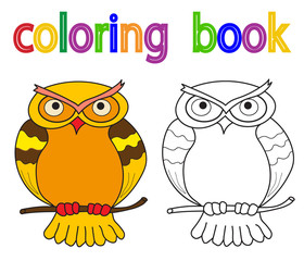  book coloring, owl