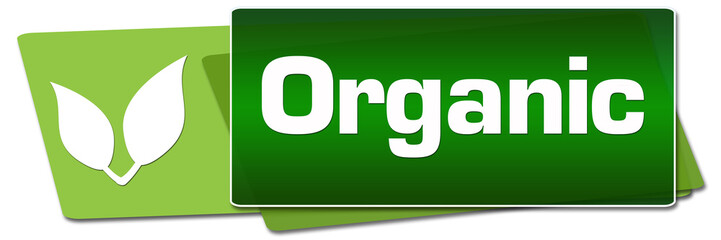 Organic Green Side Squares 