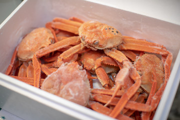 Fresh Japanese hair crab, King Crab of Omicho Market at Kanazawa, JAPAN.