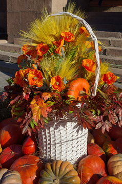 Autumn composition of pumpkins, flowers and cereals