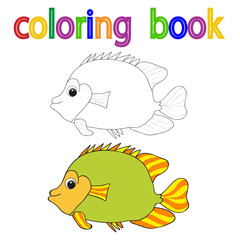 isolated, book color sea fish