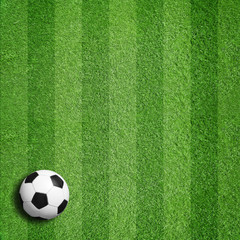 Fußball auf Rasen  © Coloures-Pic