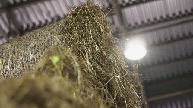 New haystacks lie at farm side by side in rolls under lamplight. Close up