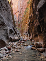 Deep into the Narrows, Zion National Park, Utah, United States