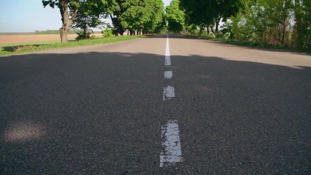 view on the empty countryside road spring season with green trees and grass slow motion