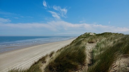 Dünenlandschaft an der Nordsee, Niederlande am Meer