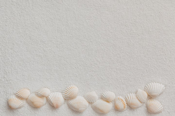 helle Strandmuscheln liegen auf weißem Sand, draufsicht