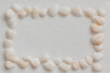 Obraz premium Rahmen aus hellen Muscheln auf weißem Sand, draufsicht
