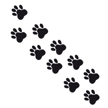Cat tracks black on white background. Vector illustration.