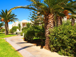 Fototapeta premium Territory of the hotel. Crete. Greece.