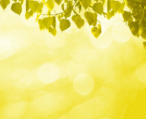 Golden background texture and leaves