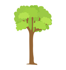 Tree Icon with Green Leaves and Brown Trunk Vector