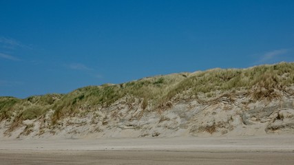 Dünenlandschaft an der Nordsee, Niederlande am Meer